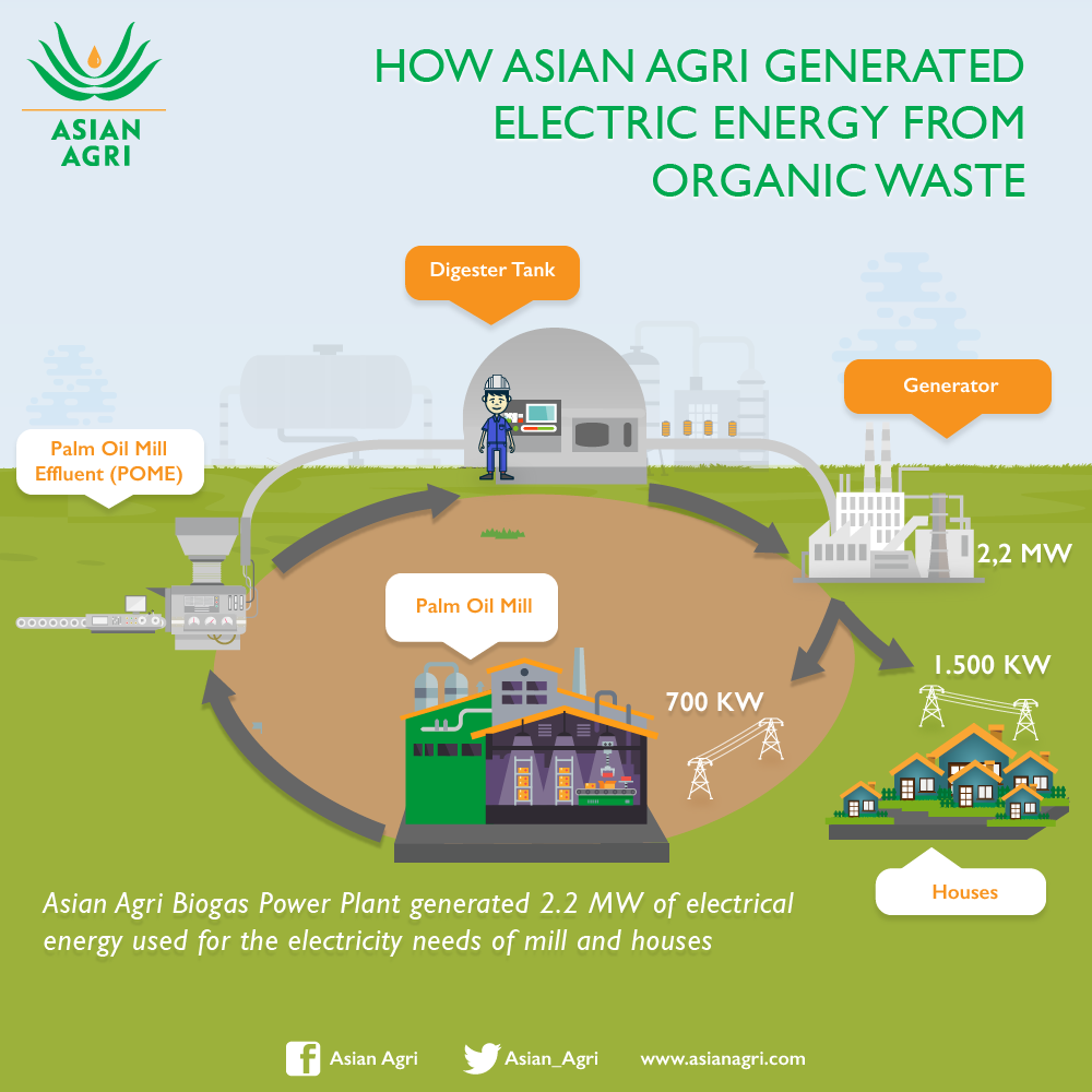 Biogas Renewable Energy