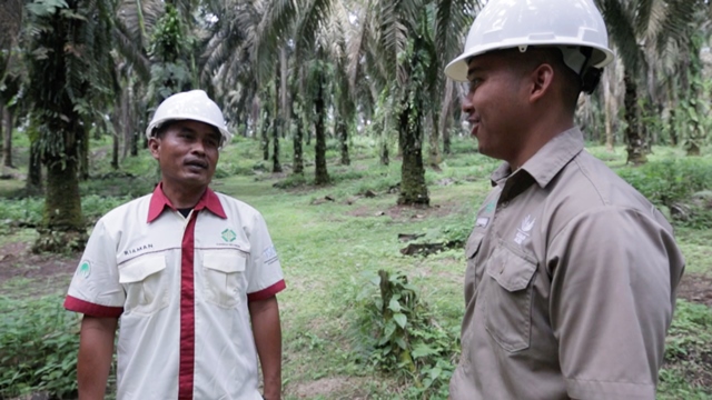 Asian Agri's Smallholder discusses with Asian Agri's Estate Assistant