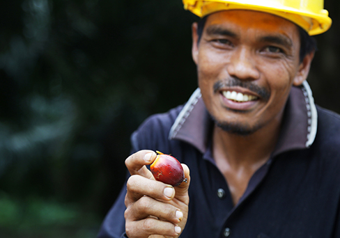 Palm Oil Company in Indonesia