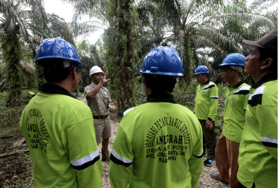 KEMITRAAN DENGAN PETANI