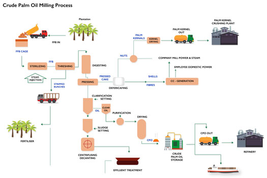 Palm Oil Mill Process