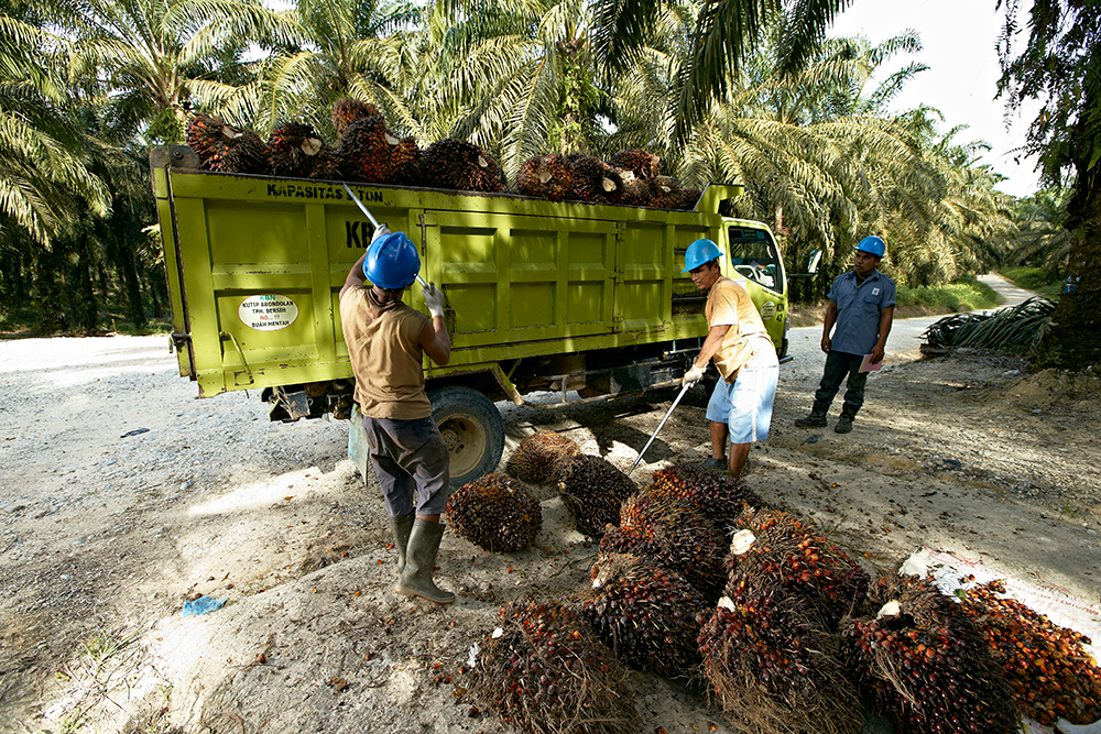 NEGERI