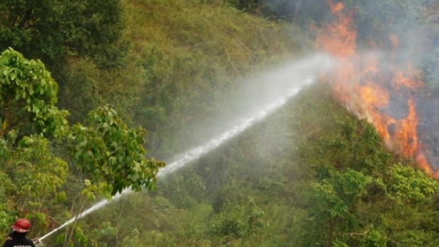 [Berita Satu] FFA Kembangkan Desa Bebas Api