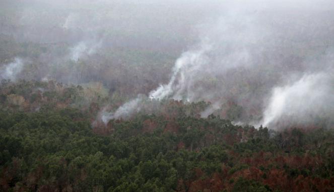 [Viva] Luhut Apresiasi Bantuan Swasta Cegah Kebakaran Hutan