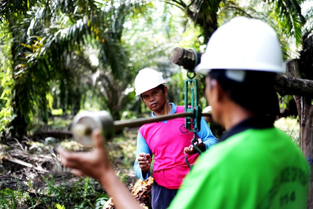 Petani Sawit Binaan Asian Agri jadi yang Pertama Raih Sertifikasi RSPO