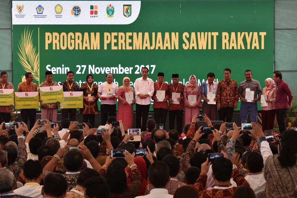 North Sumatra Independent Smallholders Receive Replanting Funds  Government’s commitment to improve Oil Palm Smallholder’s prosperity