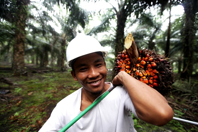 Program Binaan yang Membantu Meningkatkan Penghasilan Petani