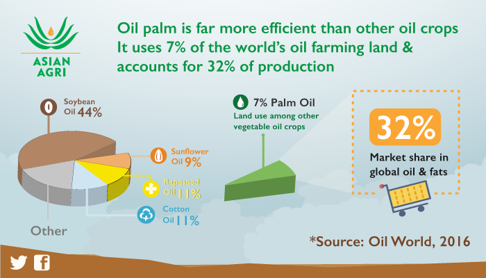 How palm oil became the world's most hated, most used fat source