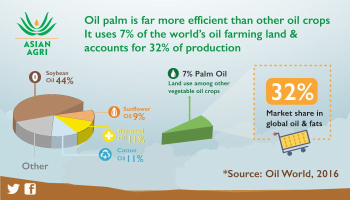 oil palm cultivation business plan