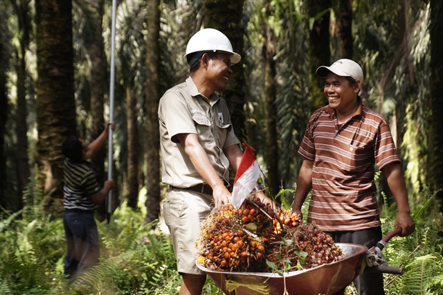 Peran Asian Agri dalam Mendukung Terwujudnya SDGs