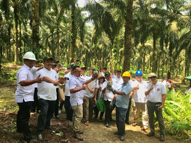 Diplomat Indonesia Kunjungi Perkebunan Kelapa Sawit di Riau