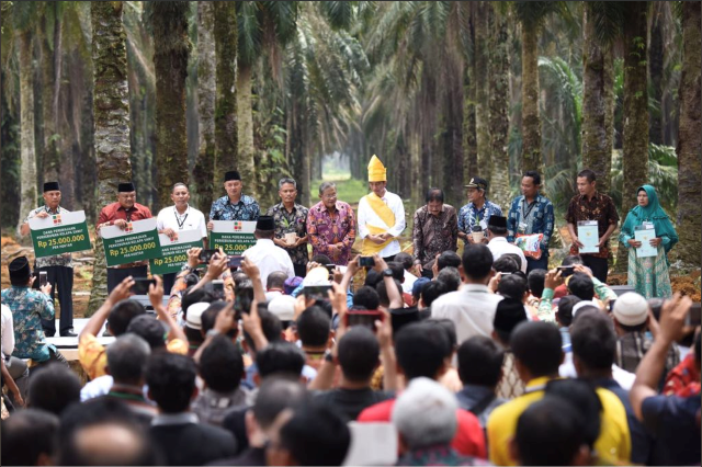 Presiden Joko Widodo Serahkan Dana Peremajaan kepada Petani Sawit Subur