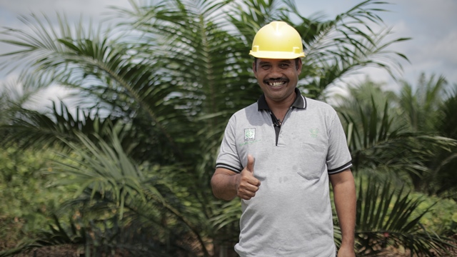 Indonesian Oil Palm Farmer Benefits from Partnering with Asian Agri