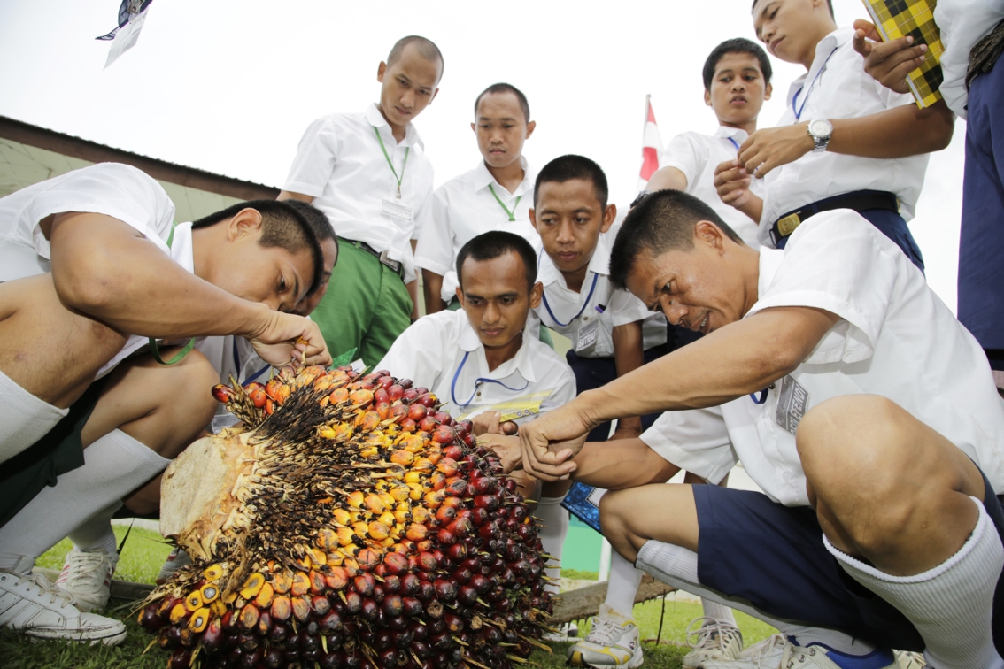 Outdoor Training program