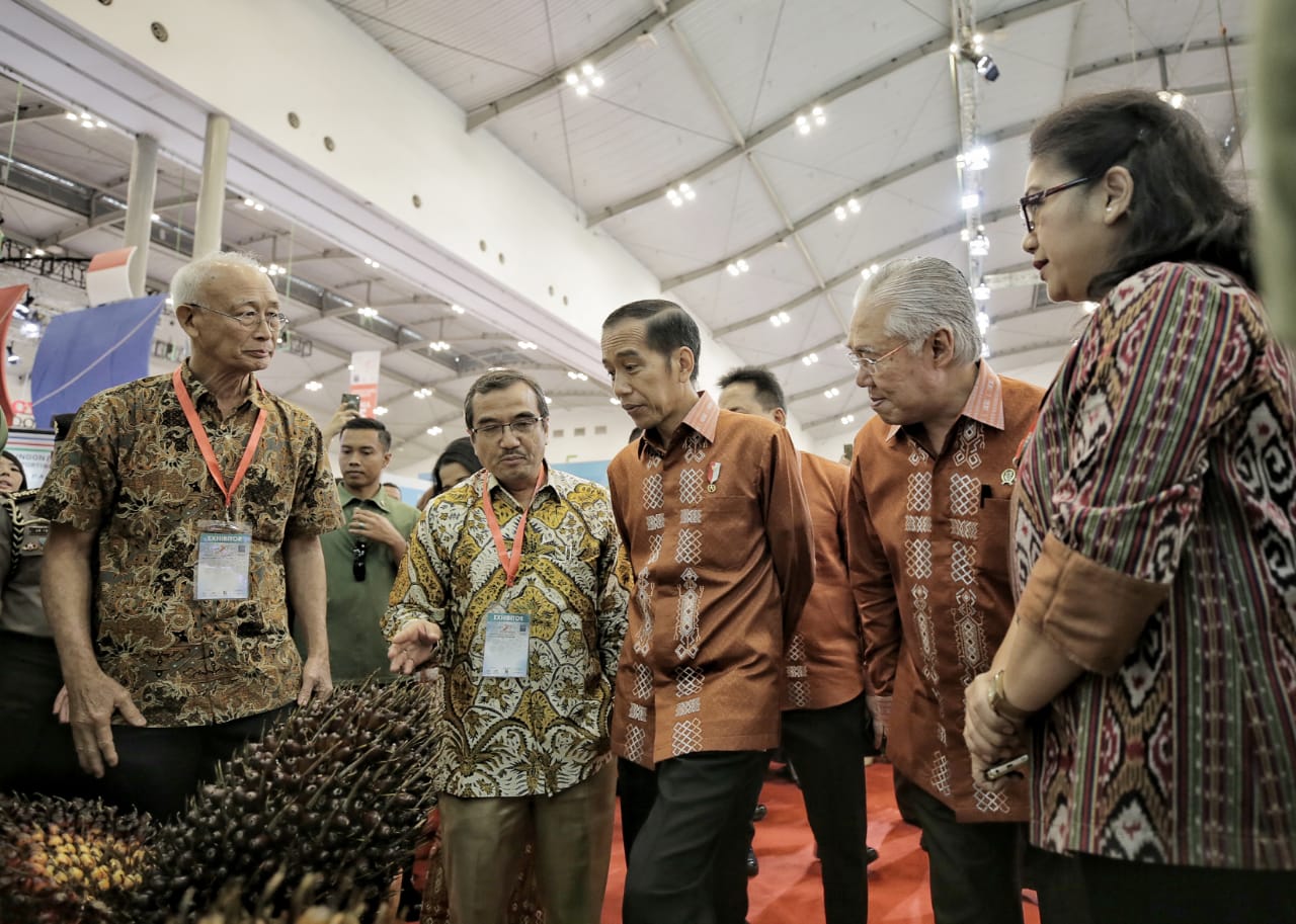 Palm Oil Production through Quality Seeds and Replanting Program