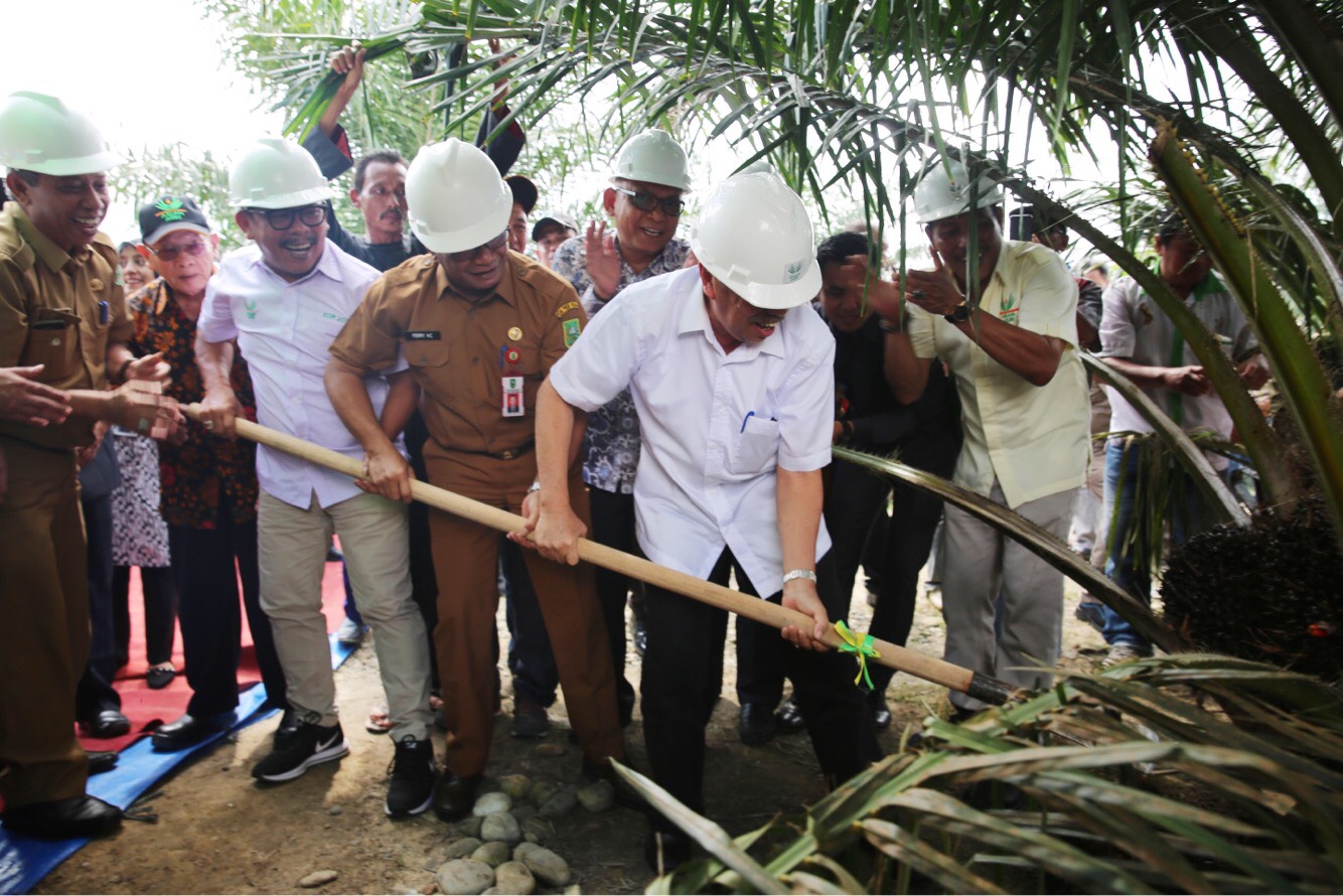 Asian Agri Partner Smallholders Carry Out First Harvest of Replanted Oil Palms