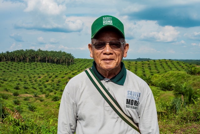 Sukses Peremajaan Lahan, Petani Kelapa Sawit Gandakan Hasil Panen