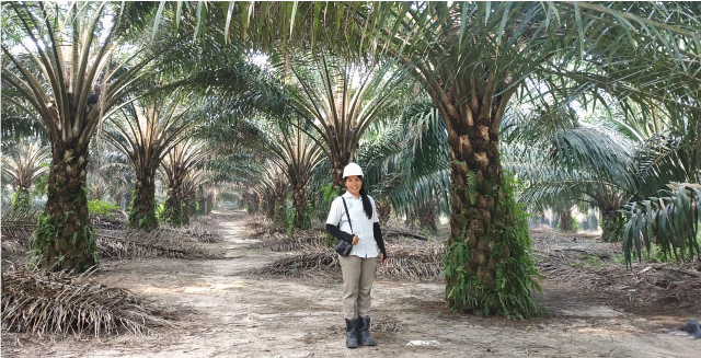 Yani: The Female Trailblazer in Asian Agri’s Plantations