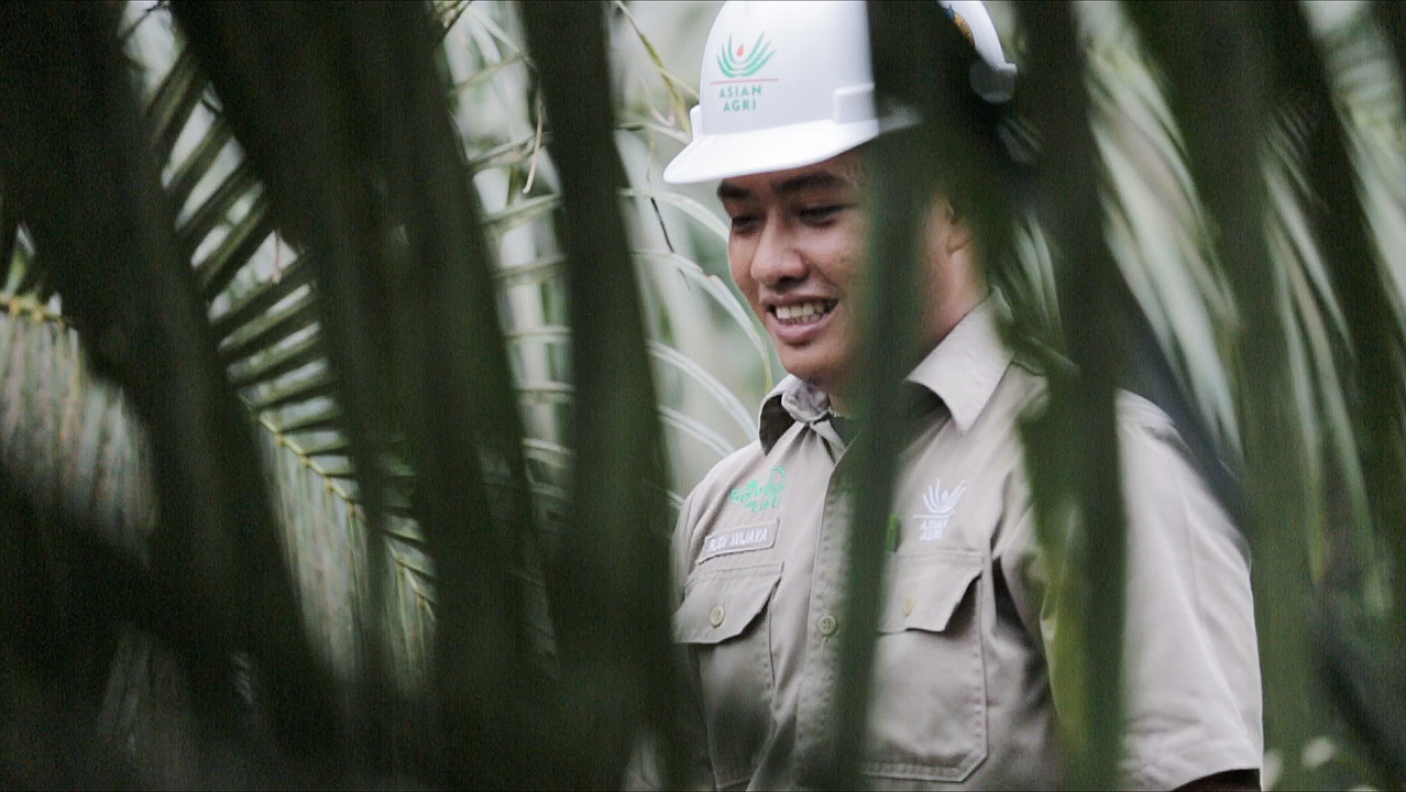 Plantation: Rudi Wijaya