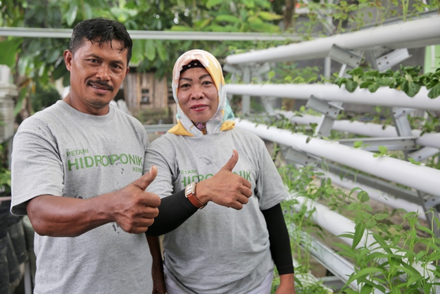 Proud Smallholders – Asian Agri Partner Smallholder Family Successfully Branches Out into Hydroponics