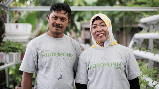 Bangga Jadi Petani – Jumadi, Sukses Kembangkan Hidroponik sebagai Bisnis Alternatif Sawit
