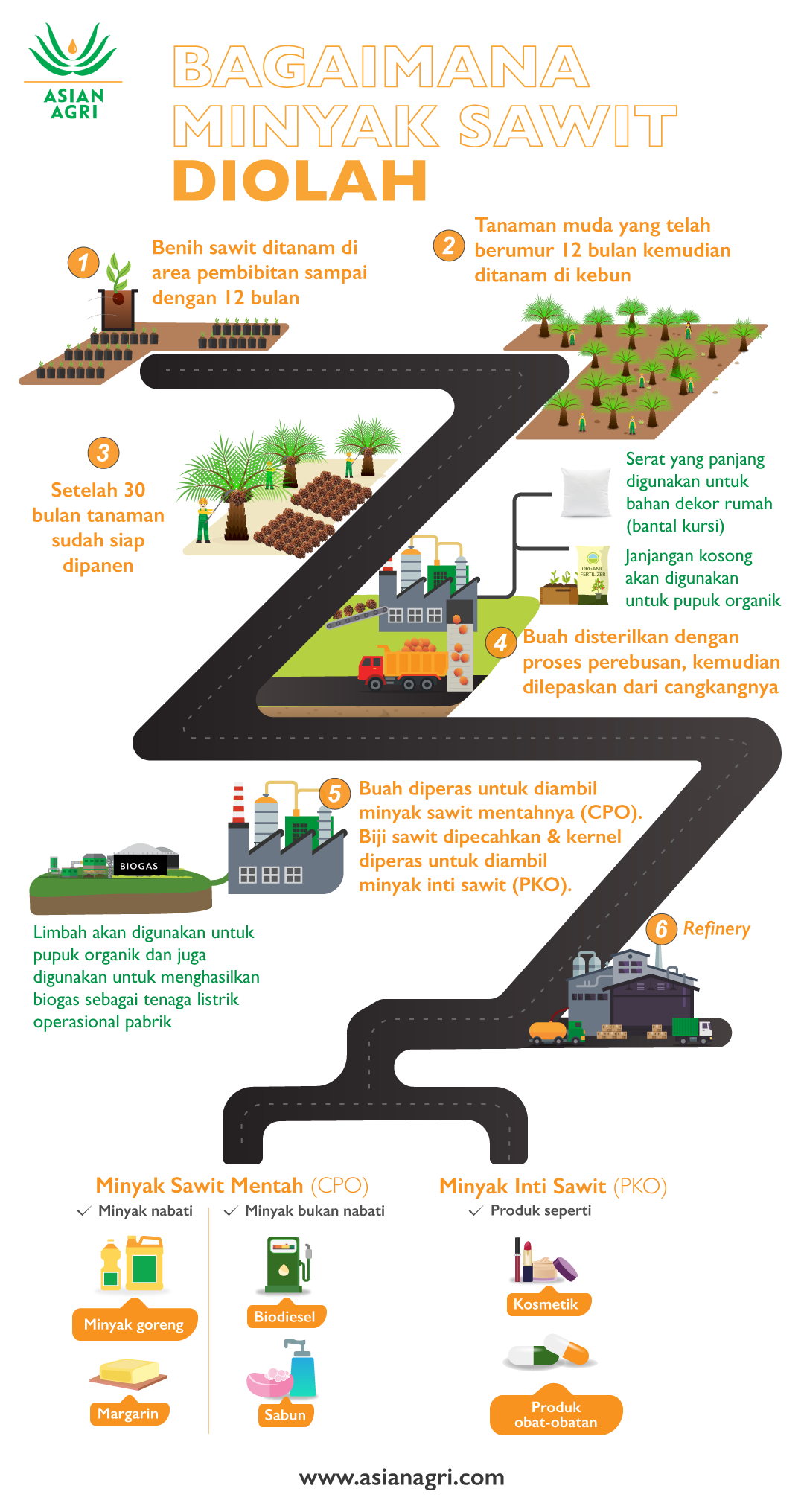 Palm Oil Processing