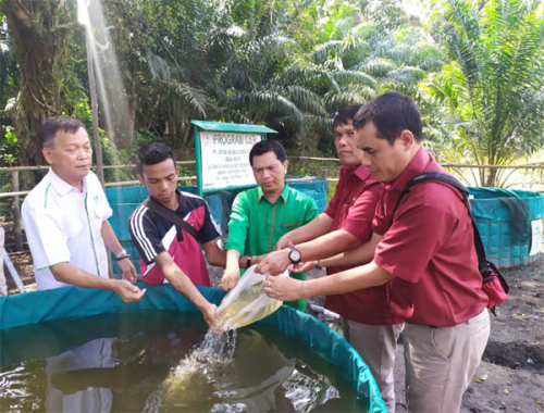 [INFORIAU.ID] PROGRAM CSR ASIAN AGRI DUKUNG PEMUDA UNTUK MANDIRI