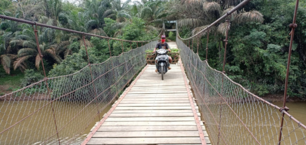 Berikan Manfaat Ekonomi Berkelanjutan, Asian Agri Lakukan Rehabilitasi Infrastruktur