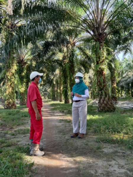 Eny memberikan pengarahan kepada mandor 