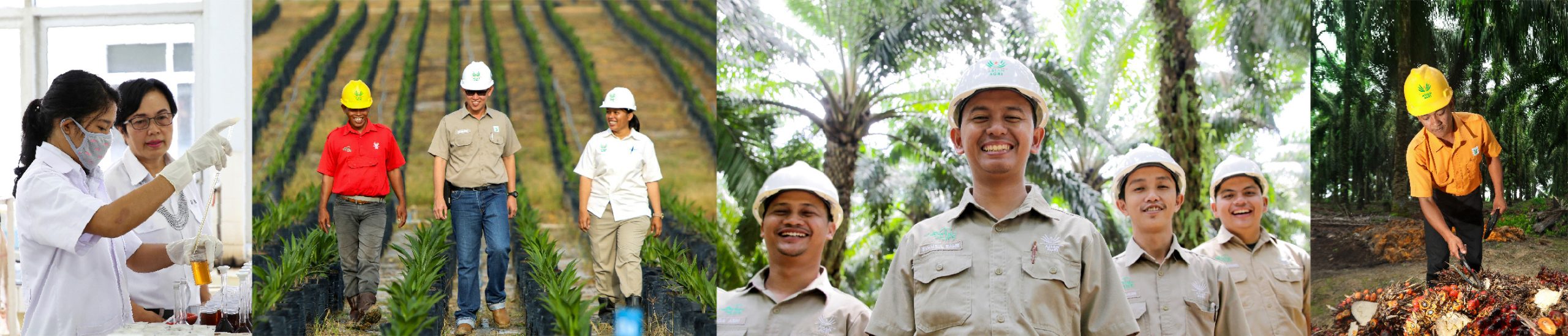 Asian Agri’s Graduate Trainee Program is Open for Applications