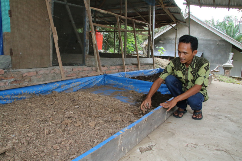 Kristiono mempraktekkan cara budidaya cacing ANC