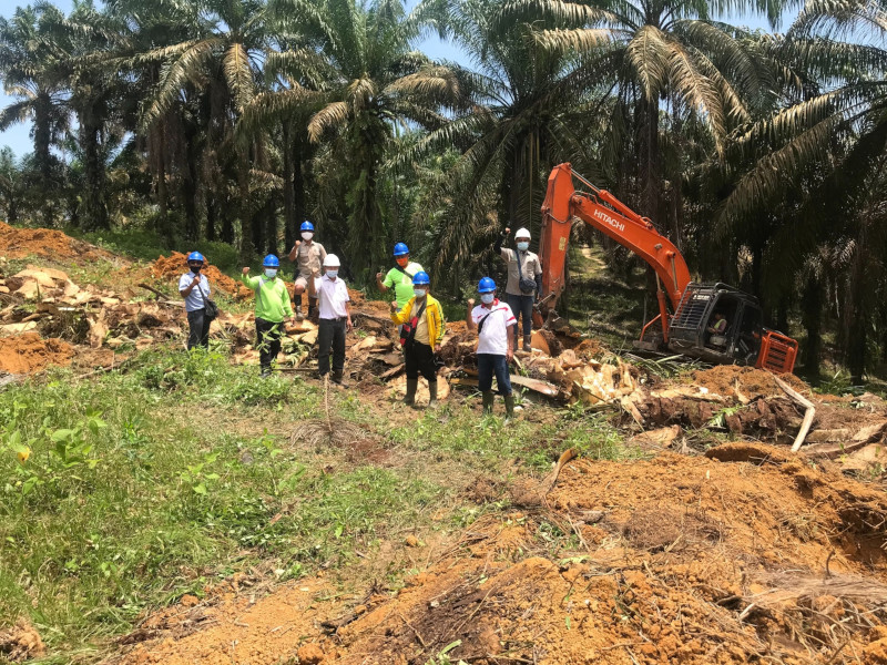 KUD Manunggal Jaya Lakukan Tumbang Perdana Menandai Peremajaan Sawit di Merlung