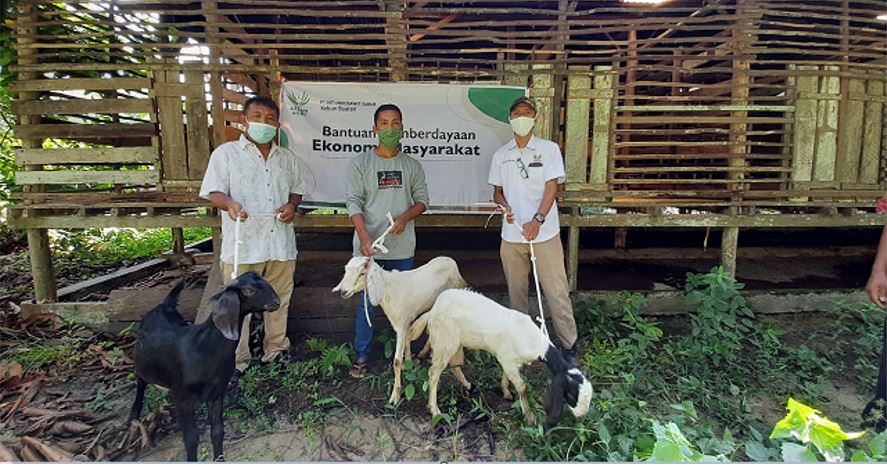 Asian Agri Dukung Ekonomi Berkelanjutan Lima Desa dengan Membagikan Kambing Etawa