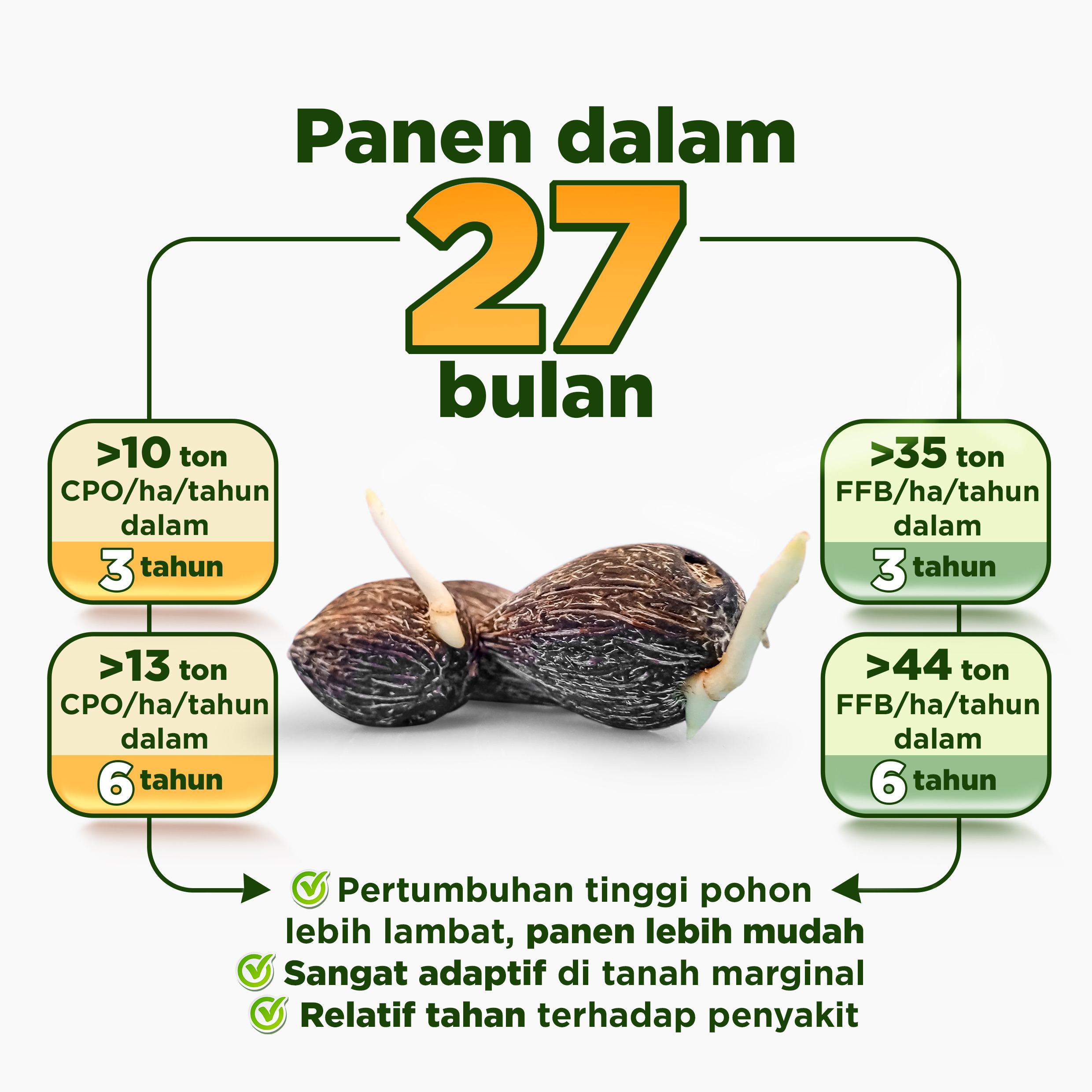 Benih Sawit Topaz Asian Agri