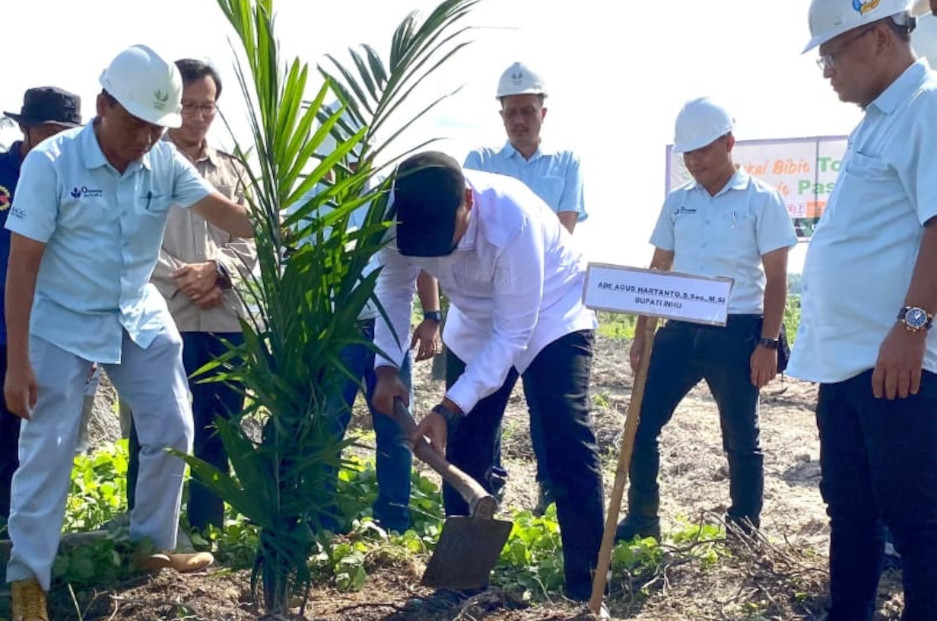 Asian Agri Dorong Ketahanan Pangan Lewat Budidaya Padi Gogo di Lahan Replanting