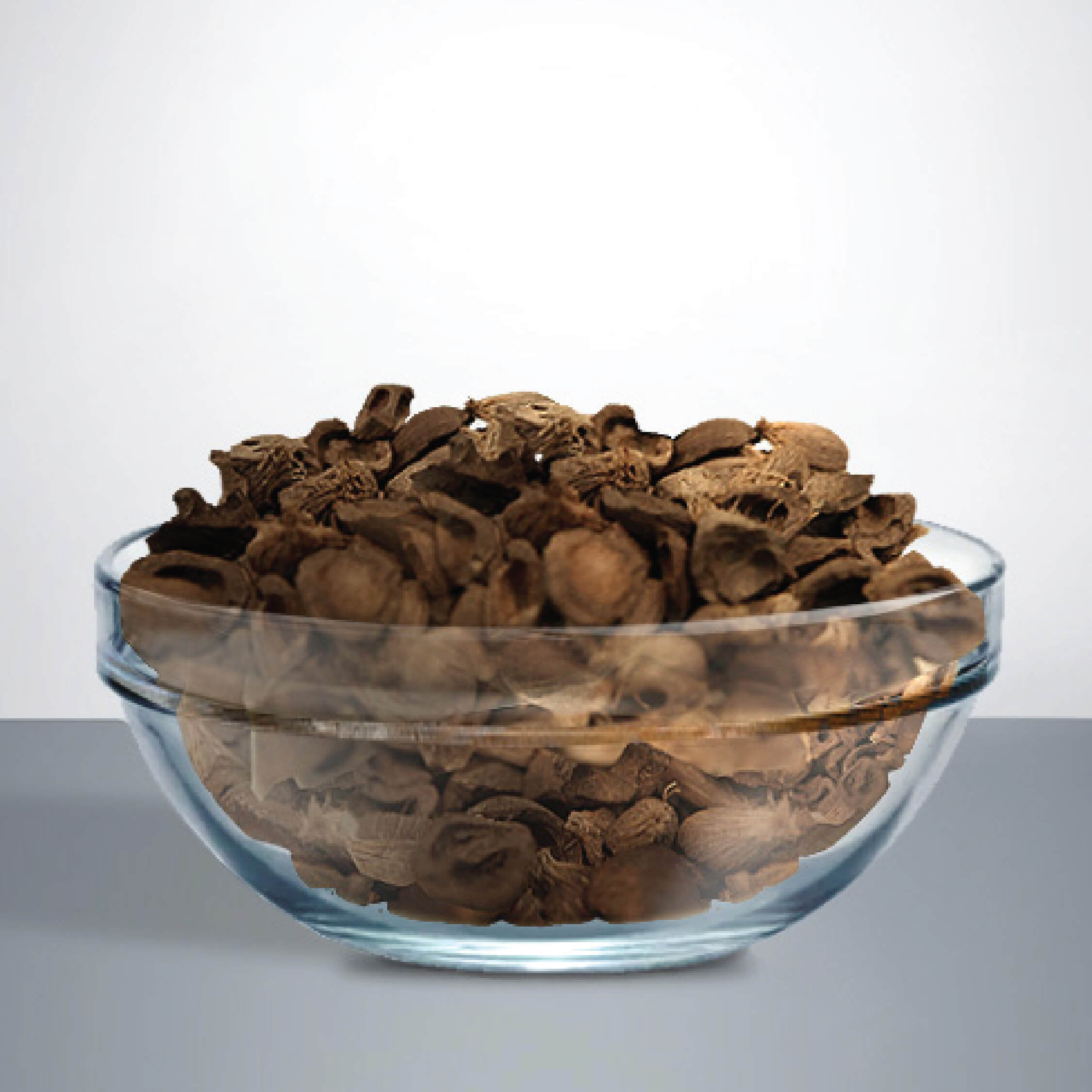 What Are Palm Kernel Shells and How Does Asian Agri Use Them for Renewable Energy?